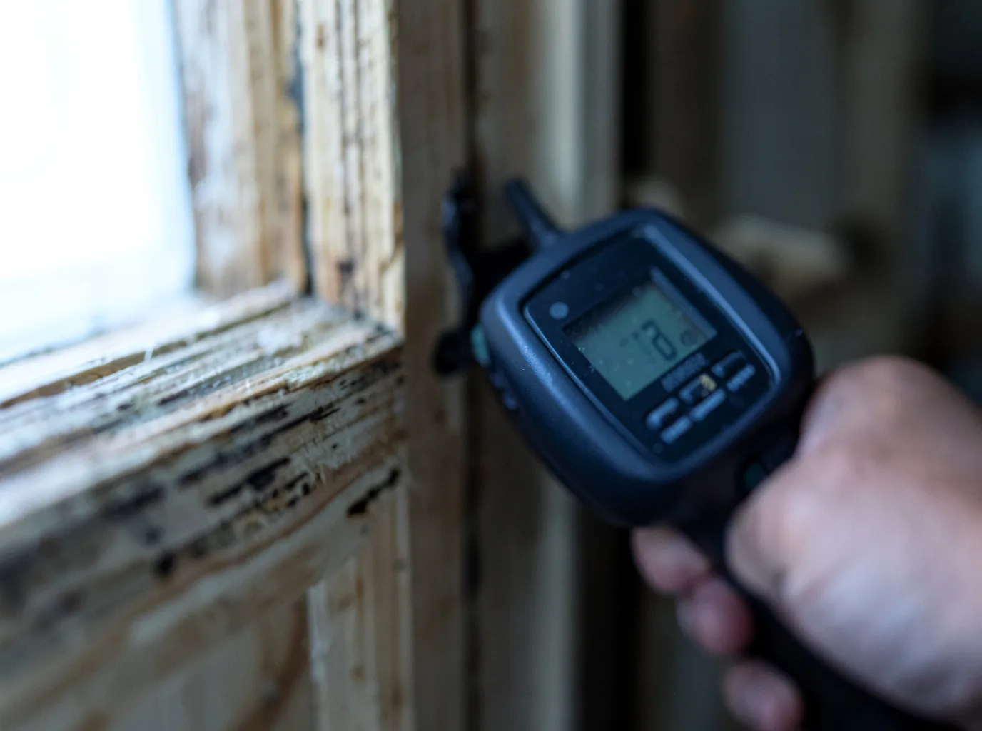 Moisture Inspection And Documentation in Arlington, VT